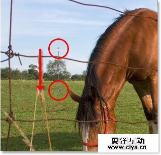 Adobe Photoshop photo editing and photo retouching tutorial image