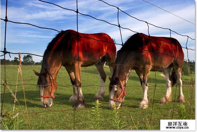 Adobe Photoshop photo editing and photo retouching tutorial image