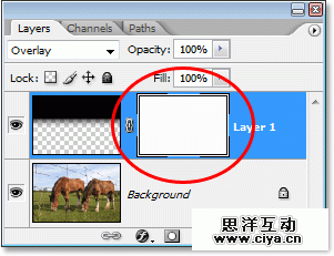 Adobe Photoshop photo editing and photo retouching tutorial image
