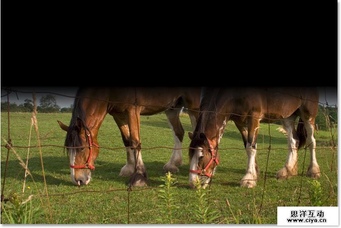 Adobe Photoshop photo editing tutorial image