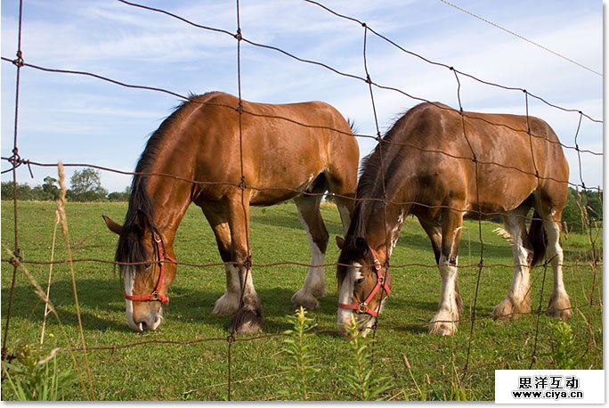 Adobe Photoshop photo editing and photo retouching tutorial image