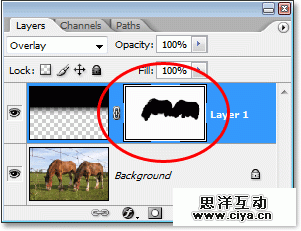 Adobe Photoshop photo editing and photo retouching tutorial image