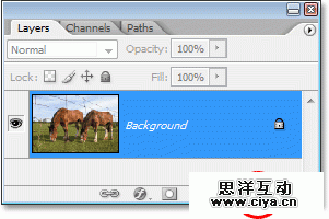 Adobe Photoshop photo editing tutorial image