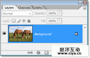 Adobe Photoshop photo editing and photo retouching tutorial image