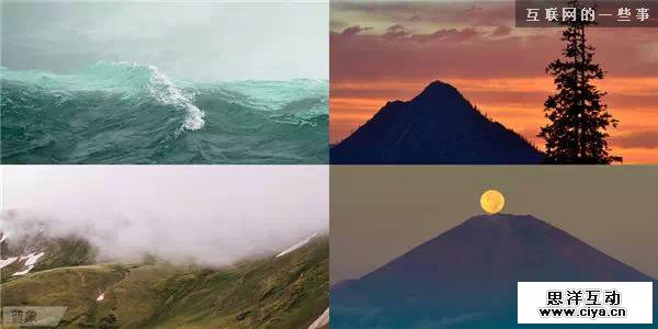 最美好的设计源于自然,互联网的一些事