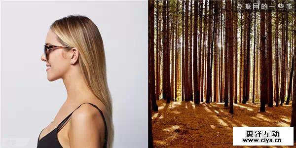 最美好的设计源于自然,互联网的一些事