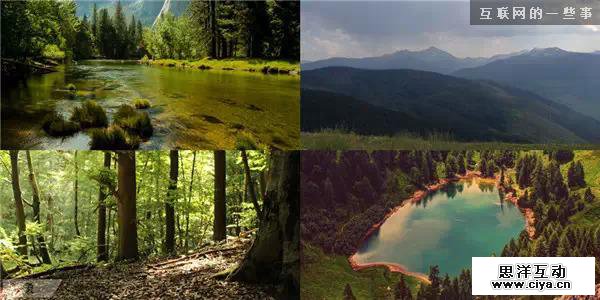 最美好的设计源于自然,互联网的一些事