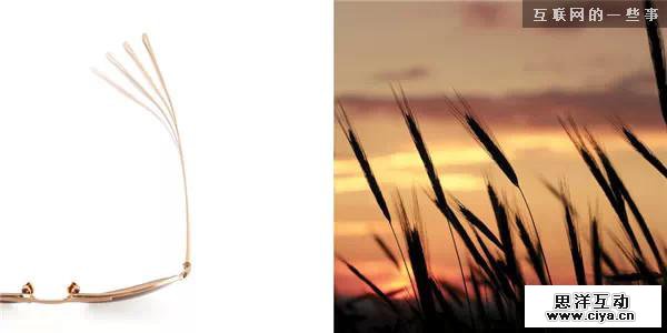 最美好的设计源于自然,互联网的一些事