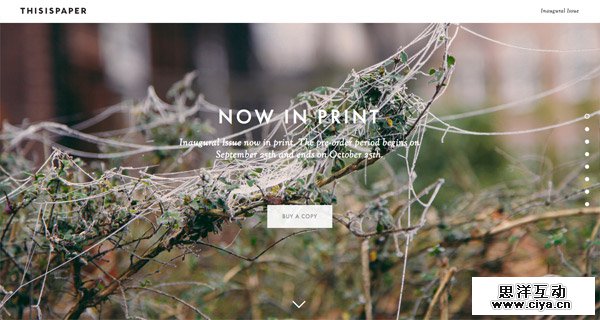 Thisispaper Inaugural Issue