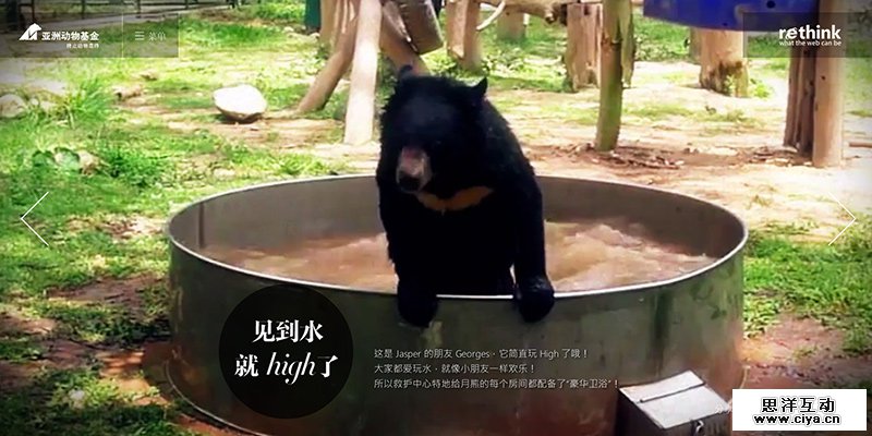 视频在网页开发方面的创新应用