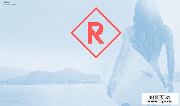 REACH Partners in 35 Minimalistic Website Designs for December 2013