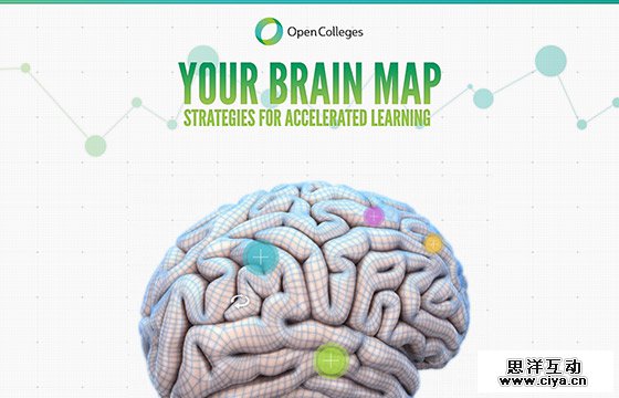 Creative One Page Website Design