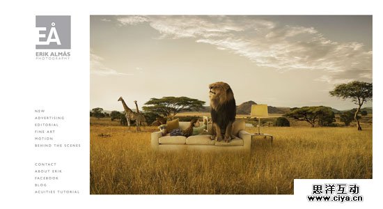 Photography Websites