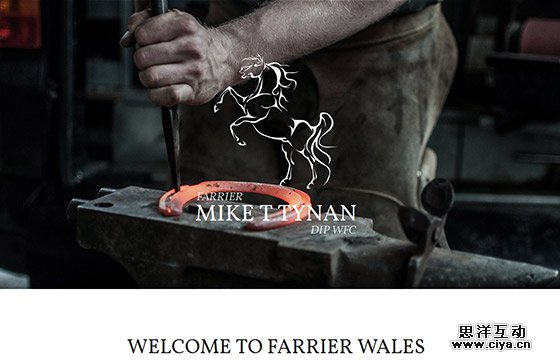 2015-04-single-page-website-designs-51