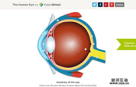 2015-04-single-page-website-designs-47