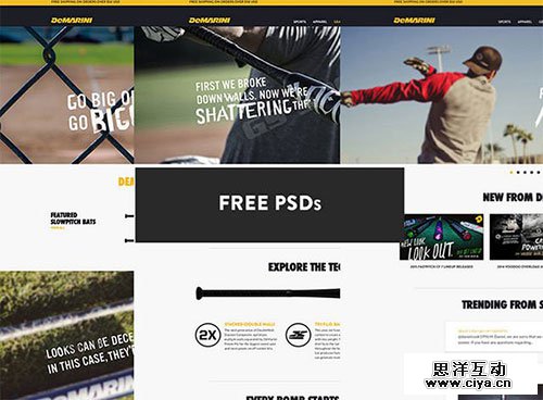 demarini 网页模板