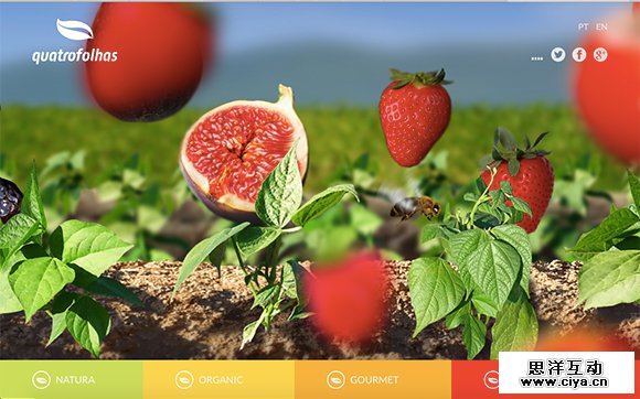 25 Fantastic Horizontal Scrolling Sites You'll Love