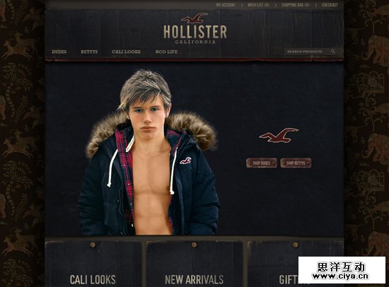 Hollister Co.