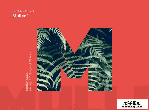 Amazing-Free-Fonts-3