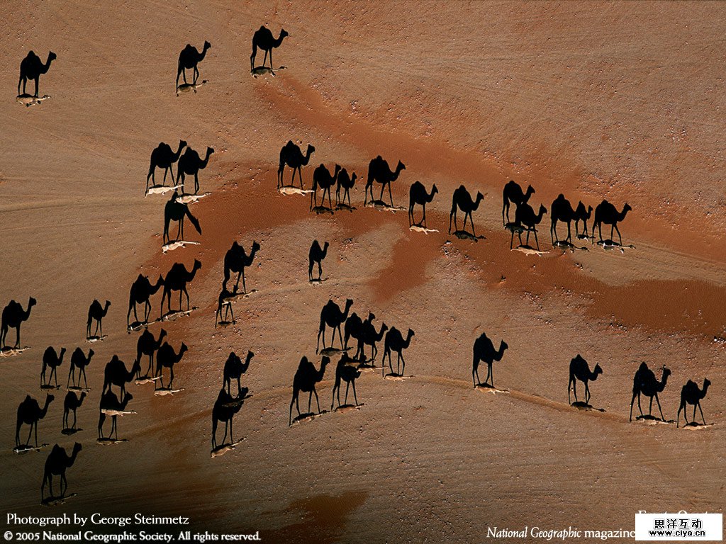 Photo-that-popeye-emailed