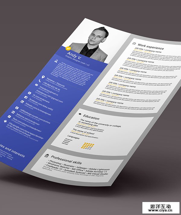 Free CV Template PSD