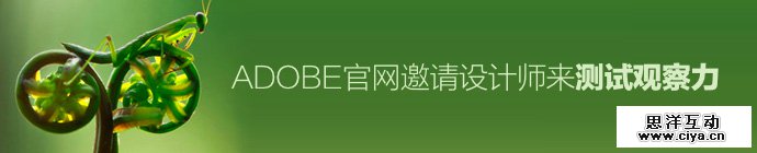 test-for-adobe-website-1