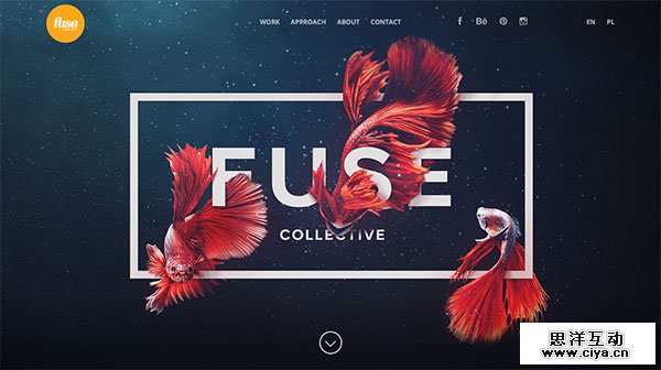 Fuse Collective
