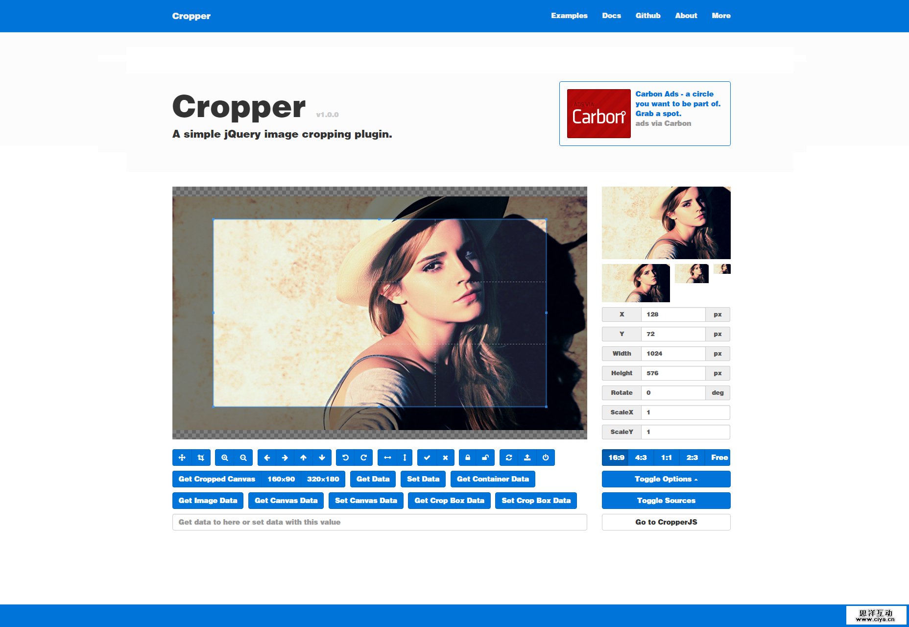 cropper-simple-image-cropping-jquery-plugin