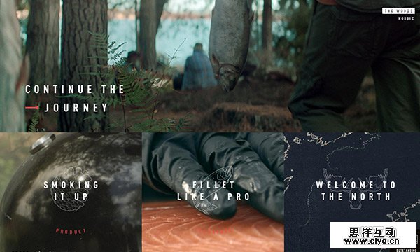 Unusual Navigation in Website Designs