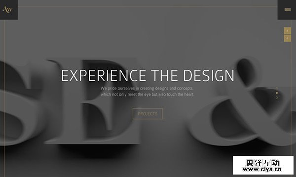 Unusual Navigation in Website Designs
