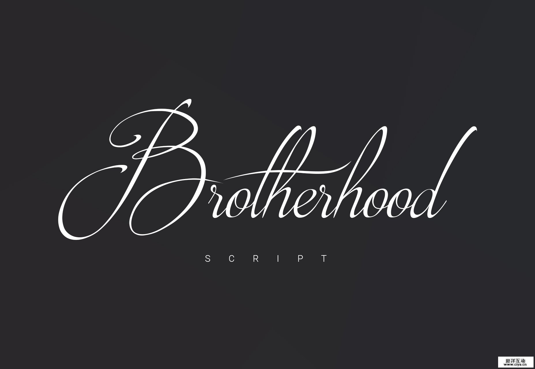 brotherhood-fancy-script-typeface