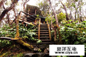 透过现象看本质：揭秘Airbnb的定价算法