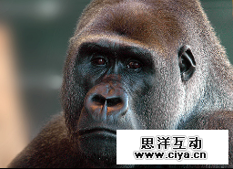 0f16580c5191a84a0d304f1a0726.jpg