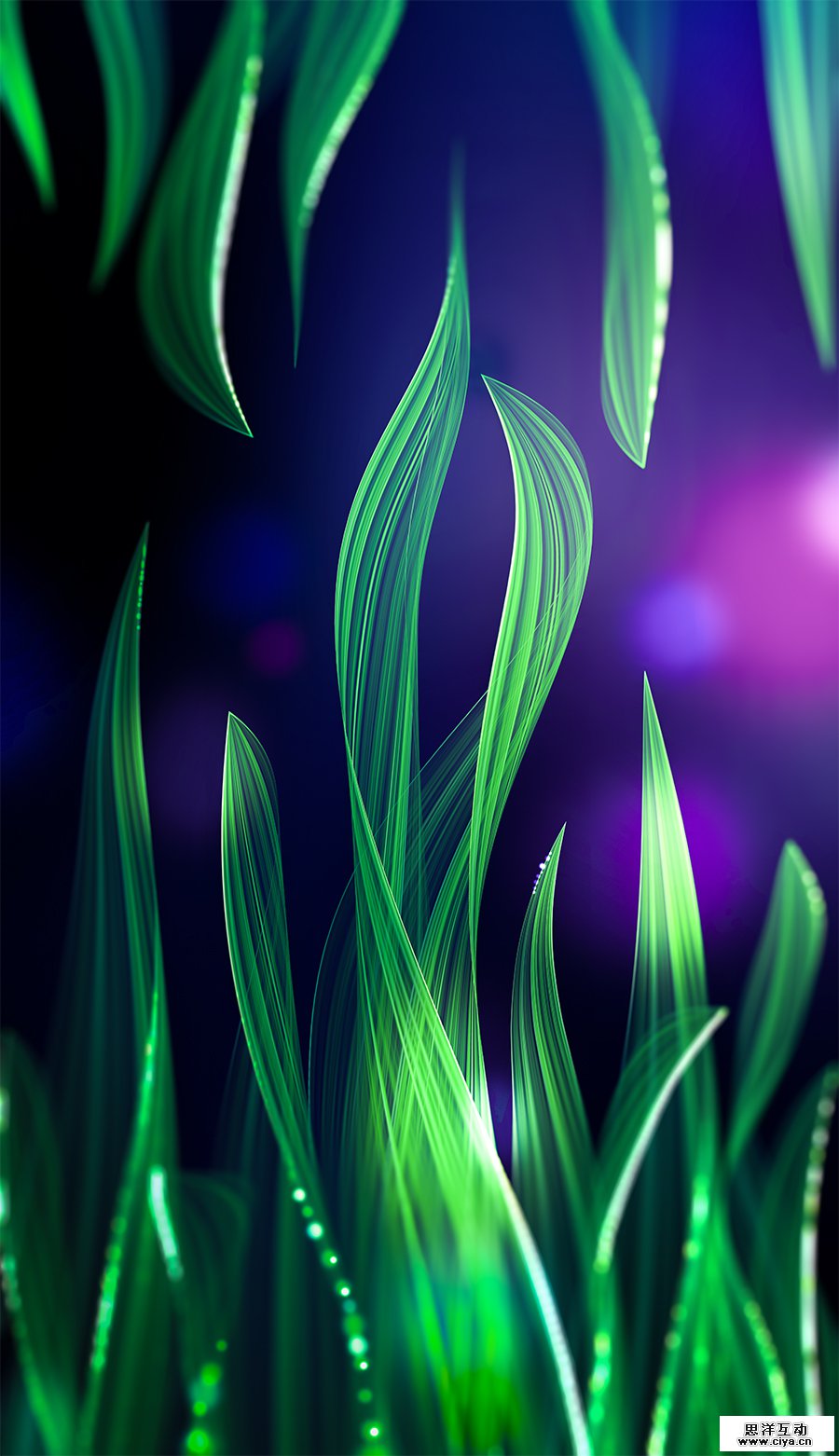 查看《光绘笔记之《生长》》原图，原图尺寸：900x1562